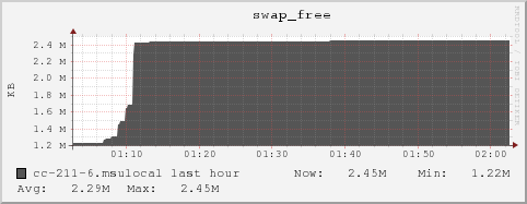 cc-211-6.msulocal swap_free