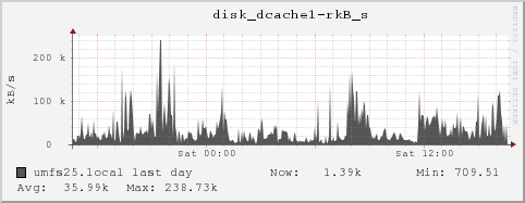umfs25.local disk_dcache1-rkB_s