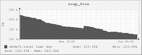 umfs33.local swap_free